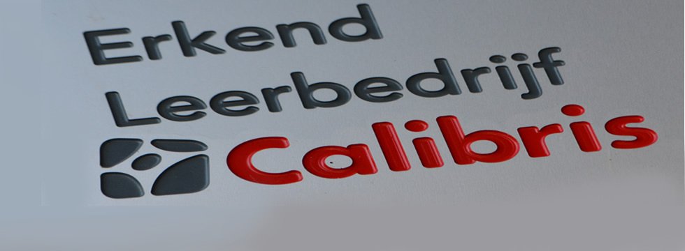 Logo calibris